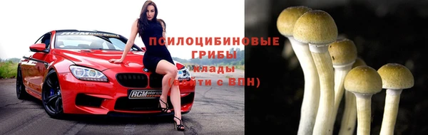 альфа пвп Магас
