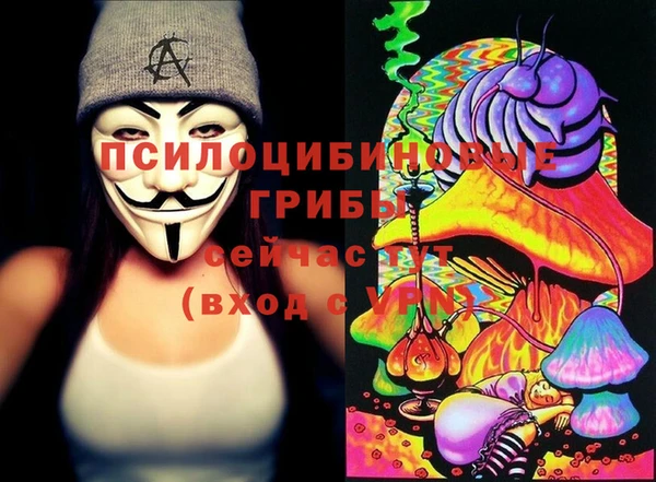 амф Великий Новгород